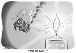 REPUBLICAN MOTH AND OBAMACARE FLAME by RJ Matson