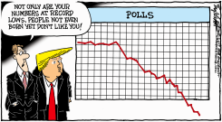 TRUMP POLLS by Bob Englehart