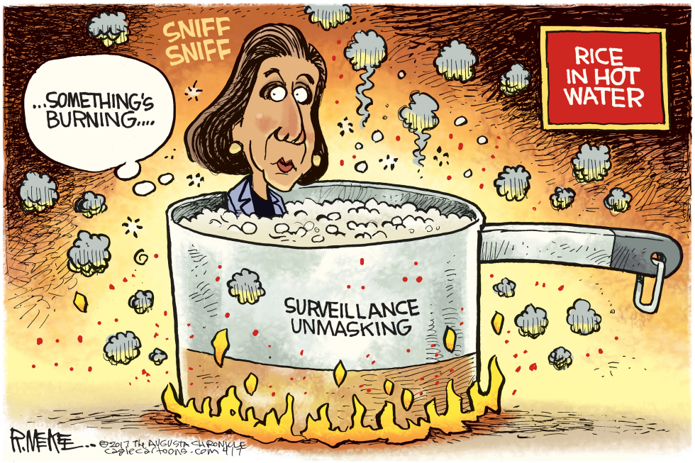  RICE IN HOT WATER by Rick McKee