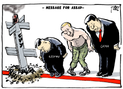 MESSAGE FOR ASSAD by Tom Janssen