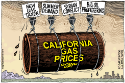 LOCALCA RISING GAS PRICES by Wolverton