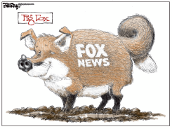 PIG FOX by Bill Day