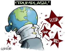 TRUMPLASH by John Cole