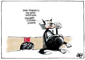 ERDOGAN WINS REFERENDUM by Jos Collignon