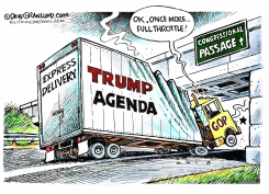 TRUMP AGENDA & CONGRESS by Dave Granlund