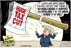 TRUMP TAX CUTS by Wolverton