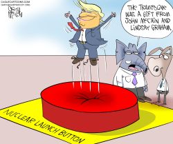 TRUMP TRAMPOLINE by Gary McCoy