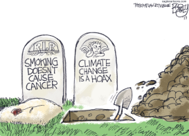 DEEPER IN DENIAL by Pat Bagley