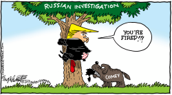 COMEY FIRED by Bob Englehart