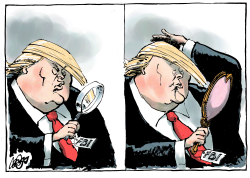 TRUMP'S PREFERENCE by Jos Collignon