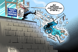 TRUMPCARE STEPS by Paresh Nath