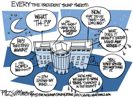 WHEN TRUMP TWEETS by David Fitzsimmons