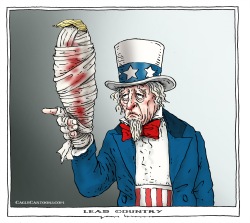 LEAD COUNTRY by Joep Bertrams