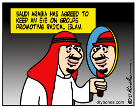 SAUDI ARABIAN MIRROR by Yaakov Kirschen