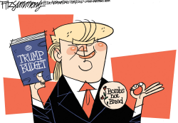 TRUMP'S PRIORITIES by David Fitzsimmons