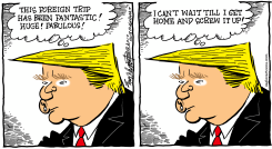 TRUMP TRIP by Bob Englehart