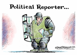 ASSAULTS ON REPORTERS by Dave Granlund