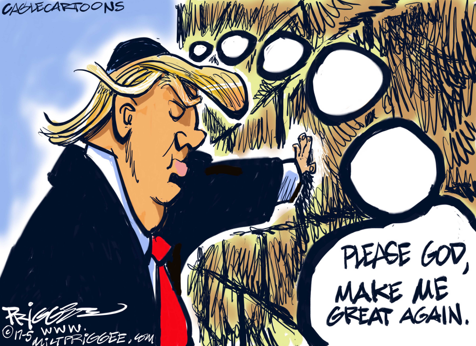  TRUMP WALL by Milt Priggee