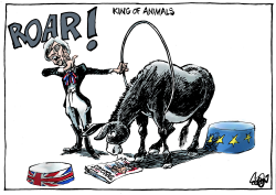 HM'S KING OF BEASTS by Jos Collignon