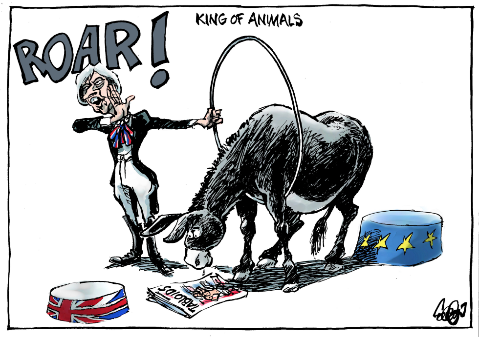  HM'S KING OF BEASTS by Jos Collignon