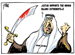 BOYCOTT QATAR by Tom Janssen