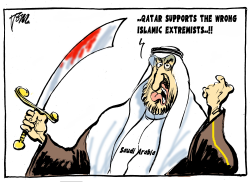 BOYCOTT QATAR by Tom Janssen