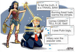 THE GOLDEN LASSO OF TRUTH by RJ Matson