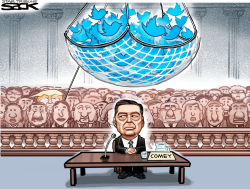 WATCH THE BIRDIE by Steve Sack