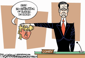 COMEY by David Fitzsimmons