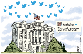 TWEET BUZZARDS by Rick McKee