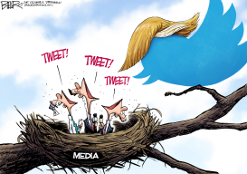 TWEETY BIRDS by Nate Beeler