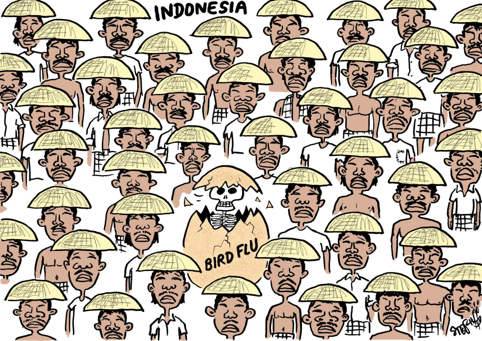  BIRD FLU OUTBREAK IN INDONESIA by Stephane Peray