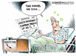 HEALTH INS CO PROFITS by Dave Granlund