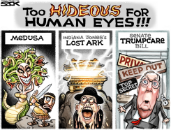 SENATE SECRET by Steve Sack