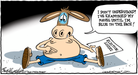 DEMOCRATS LOSE by Bob Englehart