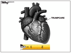 SMALL HEART by Bill Day