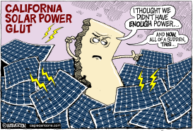 LOCALCA CALIFORNIA SOLAR POWER GLUT by Wolverton