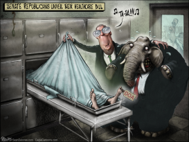 GOP HEATHCARE BILL MCCONNELL by Sean Delonas