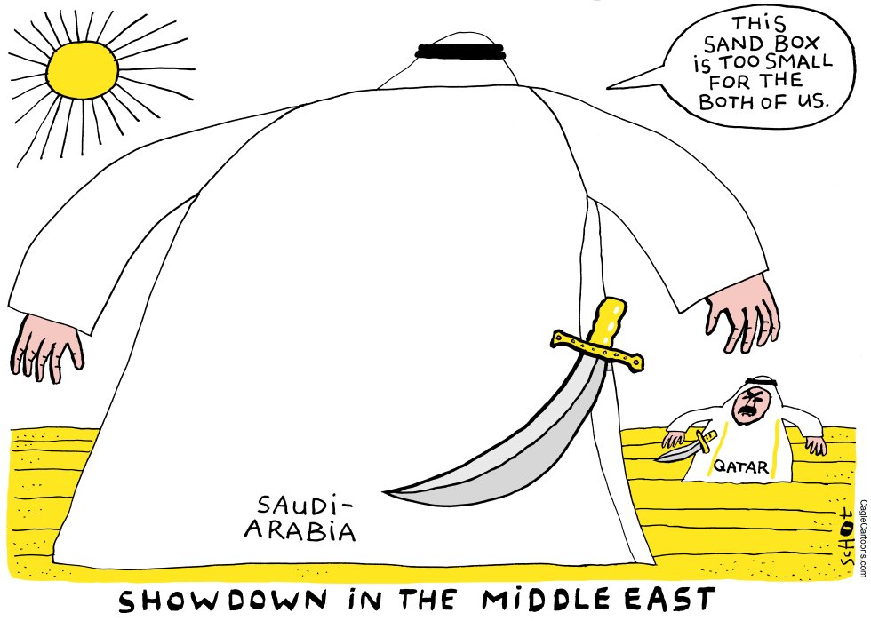  SHOW DOWN IN THE MIDDLE EAST by Schot