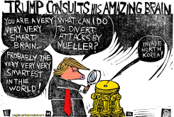 TRUMP'S BRAIN by Randall Enos