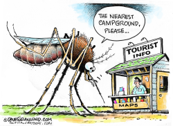 MOSQUITOES AND TOURISTS by Dave Granlund