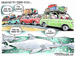 CAPE COD AND SHARKS by Dave Granlund