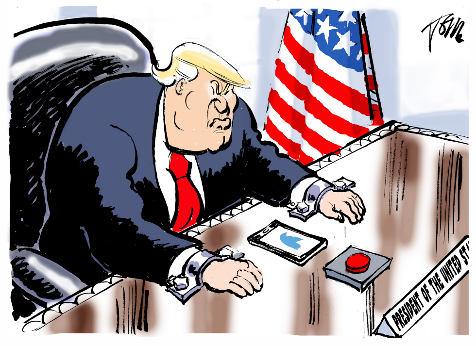  TRUMP AND TWITTER by Tom Janssen