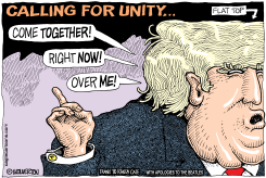 TRUMP CALLING FOR UNITY by Wolverton