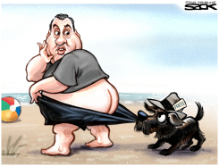 COPPERTONE CHRISTIE by Steve Sack