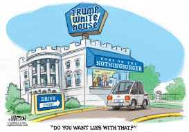 TRUMP NOTHINGBURGERS by RJ Matson