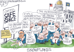 LOCAL UTAH SNOWFLAKES by Pat Bagley