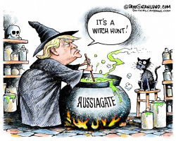 TRUMP WITCH HUNT by Dave Granlund