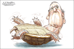 MCCONNELL TURTLE ON BACK by Ed Wexler