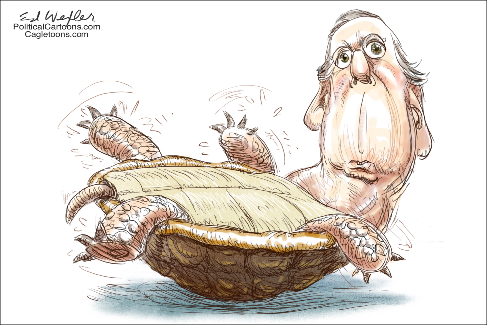  MCCONNELL TURTLE ON BACK by Ed Wexler